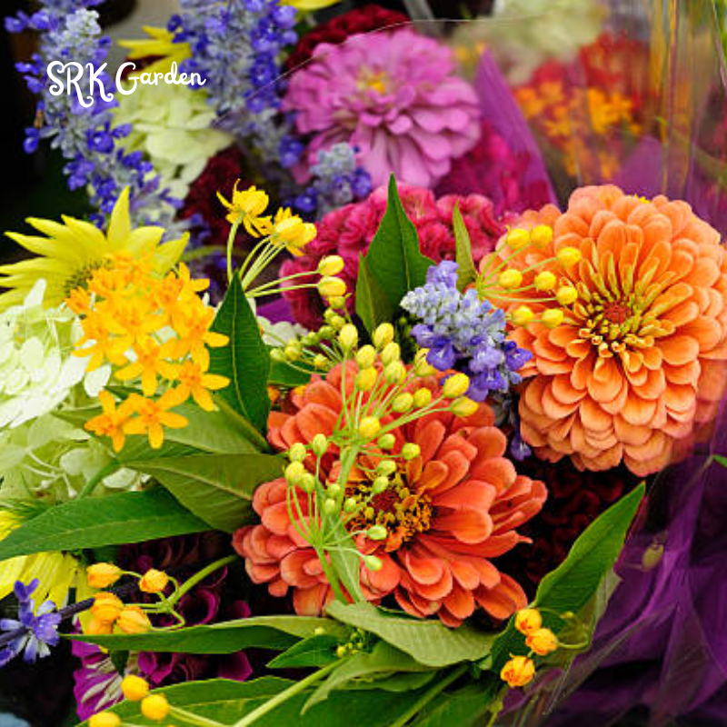 Mixed Flowers Seeds, Perennial Wildflower Seeds, Year-around Planting